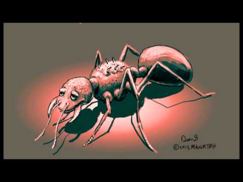 Happy Worker Ants