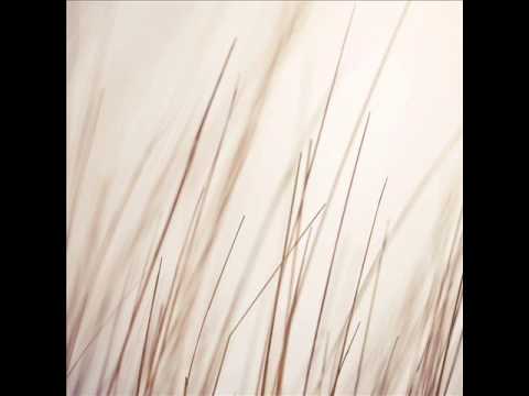 Porya Hatami - White Forest (By Arovane)