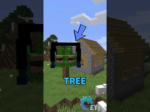 Minecraft, But I Become the World… - Gameplay, Kingdom Kids Zone, Minecraft - EYstreem