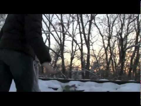 Fragments of the World.