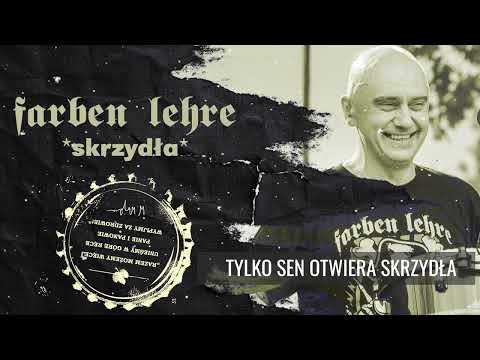 Video thumbnail for Skrzydła