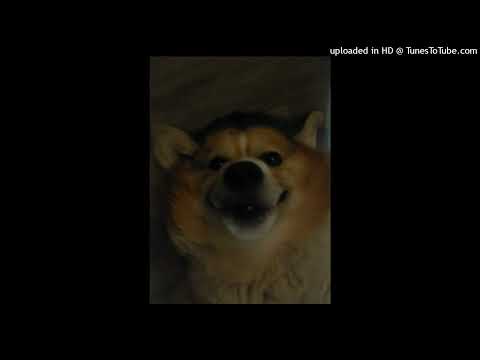 [FREE FOR PROFIT] NASCAR ALOE x AFOURTEEN TYPE BEAT "MERLIN" (PROD. DROPSHOT)