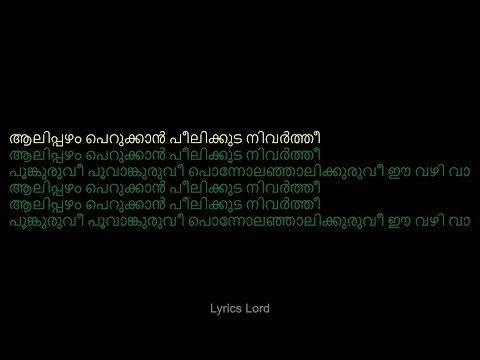 ആലിപ്പഴം പെറുക്കാൻ KARAOKE (My Dear Kuttichathan) Aalippazham Perukkan Karaoke With Malayalam Lyrics