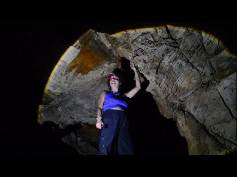 Caverna da Samambaia (Vila Propicio - GO)