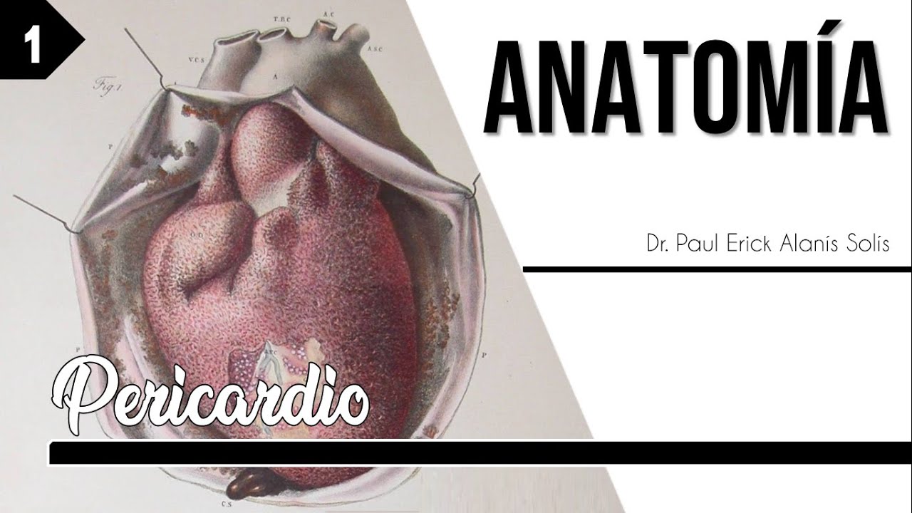 Pericardio 1 - Generalidades