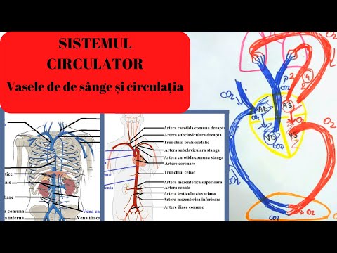 ADMITERE MEDICINA: SISTEMUL CIRCULATOR 3: Vasele de sange si circulatia