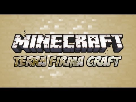 TerraFirmaCraft Ep3 charcoal