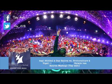 Sagi Abitbul  Guy Haliva vs. Protoculture Stanga vs. Pegasus (Armin van Buuren Mashup) [Tay edit]
