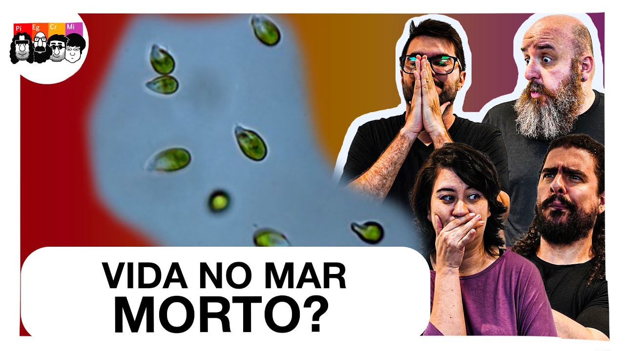 Como a vida se adapta em um dos ambientes mais extremos da Terra?