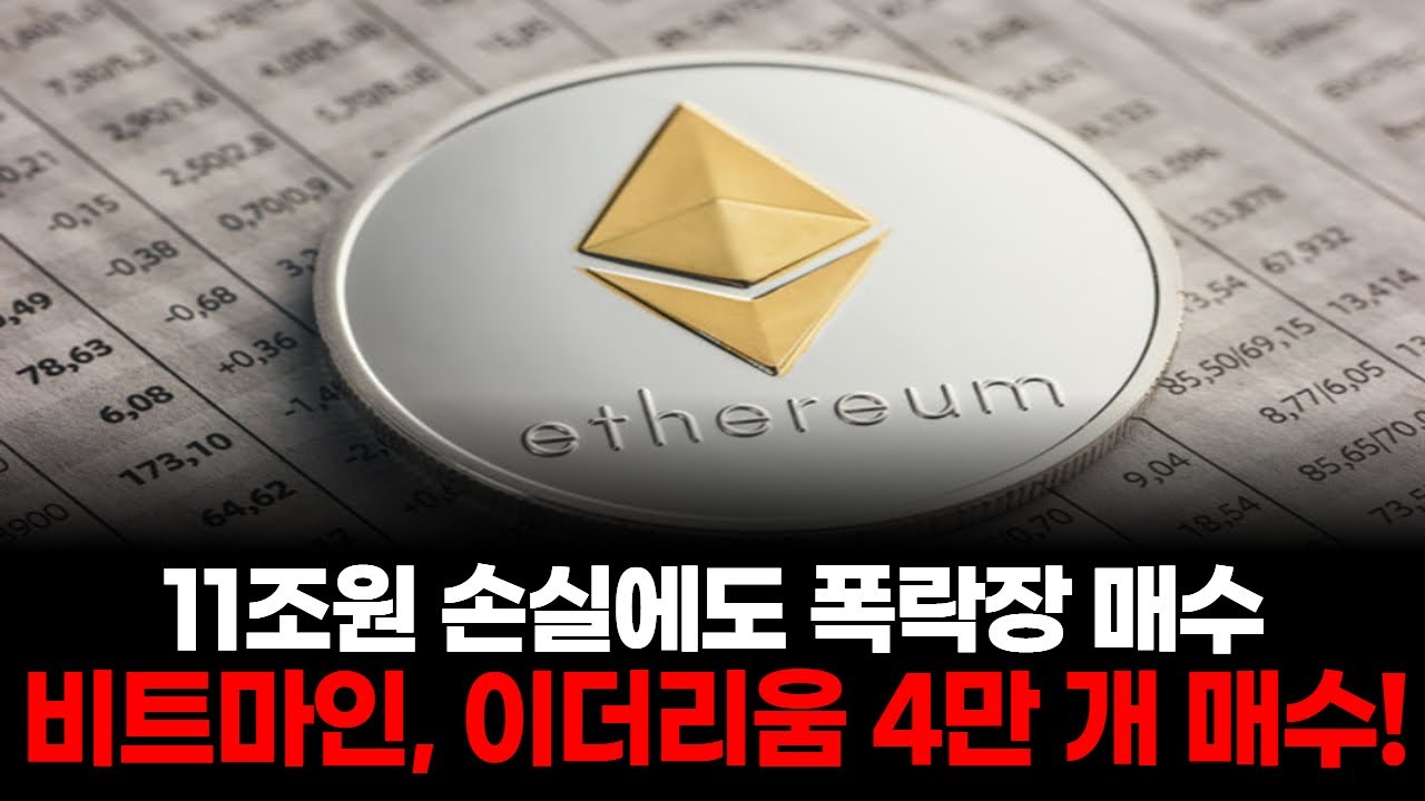 11조원 손실에도 폭락장 매수! 톰 리의 배짱?