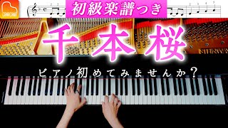 Download lagu 千本桜《初級楽譜つき》簡単ピアノカバー - 黒うさP - CANACANA mp3