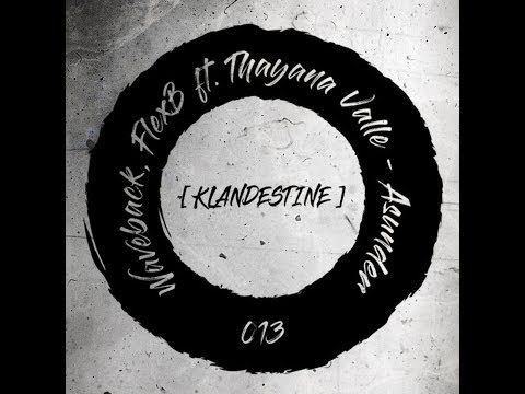 Waveback, FlexB Feat. Thayana Valle - Asunder