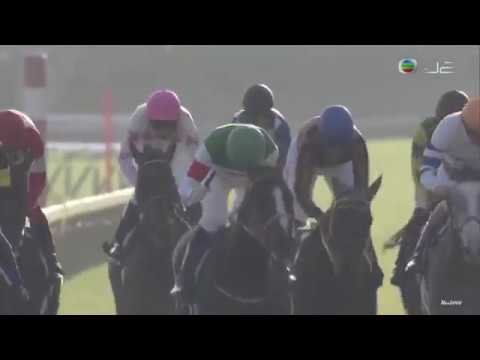 2018 女皇伊利沙伯二世盃 Lys Gracieux 雍容白荷 リスグラシュー