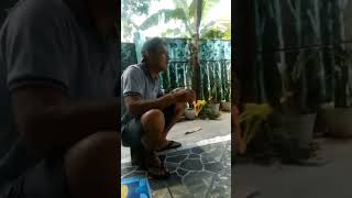 Download lagu gara-gara latto-latto#shorts#lucu#ngakak#viral mp3