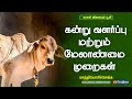 கன்று வளர்ப்பு மற்றும் மேலாண்மை முறை