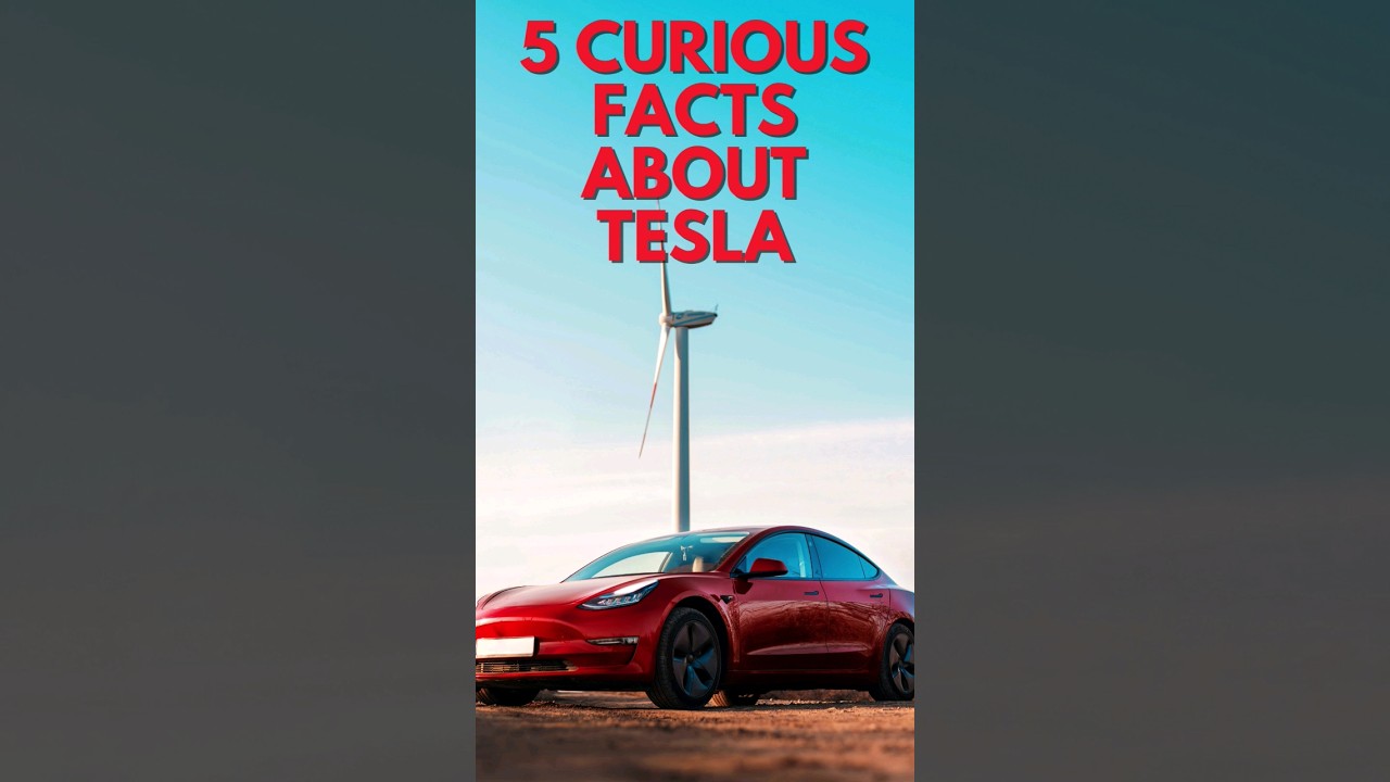 5 Curious Facts about Tesla you Should Know About.