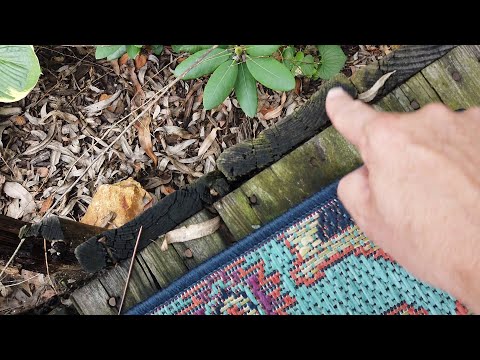 Which Side Do I Lay My Deck Boards On?