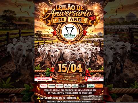 Leilão Especial de Aniversário de 1 Ano - Uruana Leilões - Leilão de Gado de Corte em Goiás