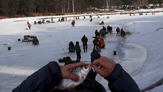 Отчеты рыбалка на рыбинском водохранилище