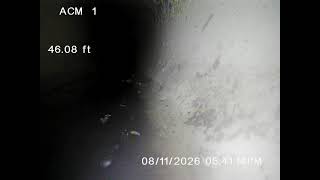 704 - IMG00551