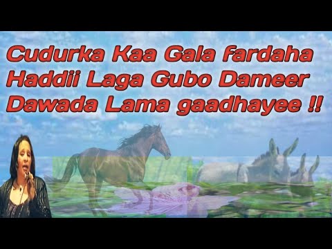 cudurka kaa gala fardaha | khadra daahir cudurka kaa gala fardaha | qof go ay iyo roob galbeed