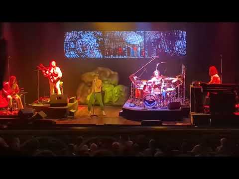 In The Cage - Musical Box