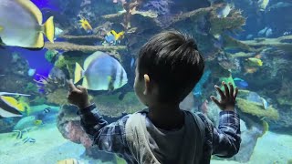 Ripley’s Aquarium Toronto with Kids: Worth It or Overhyped?