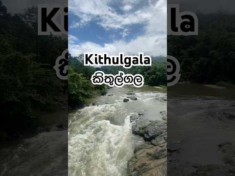 Kithulgala just slowed everything down for me 🌊🌿🍃🌳 #srilanka #kithulgala #river #travel #nature
