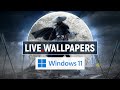 Live Wallpapers in Windows 11 | How to Add a Live Wallpaper in Windows 11 or Windows 10