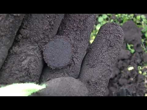 Zoeken naar verborgen schatten, met een metaaldetector