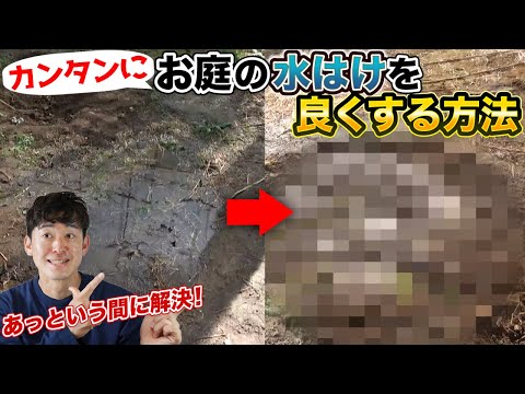 庭で水を節約する: 実践的なヒントとコツ!  庭園