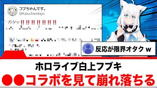 白上フブキ、○○コラボに崩れ落ちる【反応集】