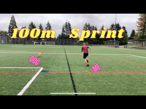 I Race My Dog in a 100m Sprint
