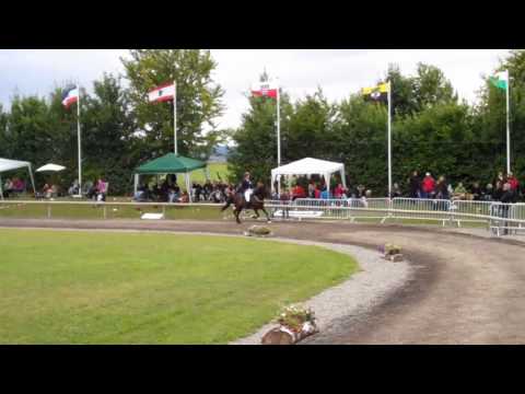 DJIM 2010 - Mix vom 29.07. - www.isibless.de