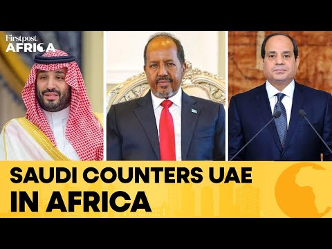  Saudi Arabia Courts Somalia, Egypt For Military Bloc: Reports | Firstpost Africa | N18G