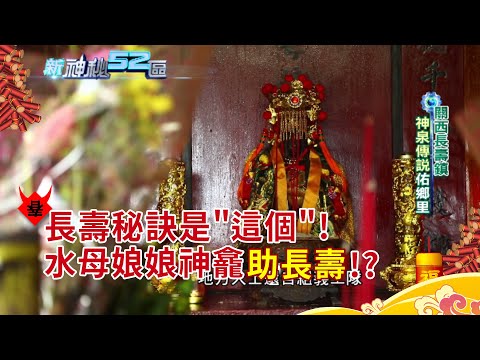 水母娘娘