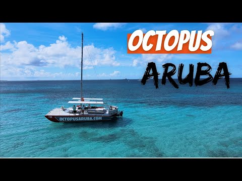 Octopus Aruba