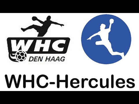 B&B Healthcare/WHC-Hercules HS1 vs. Havas HS1