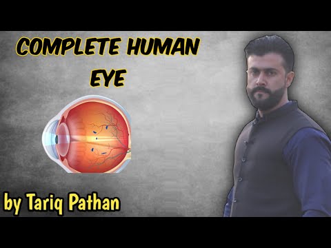 , title : 'Complete Human Eye explained by Tariq Pathan'