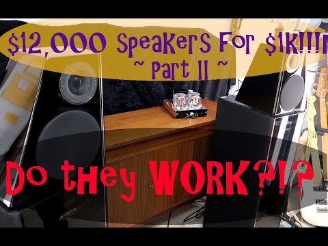 Got $12,000 speakers at auction for $1,000! Do these Meridian D6000's work?? Part II (2)