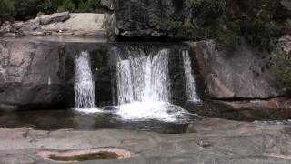 preview picture of video 'Lost Cove Loop Trail, Pisgah National Forest, NC'