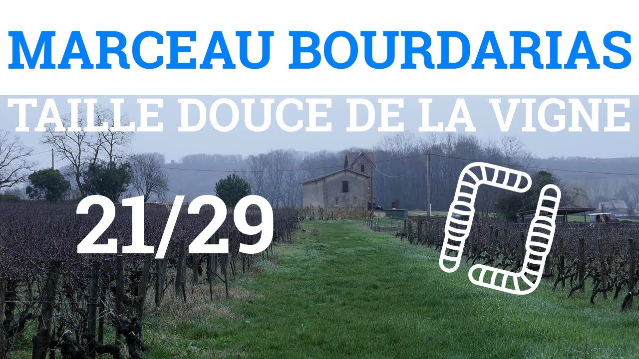 21/29 - M. BOURDARIAS - Taille Douce de la Vigne - La Taille Guyot Poussard