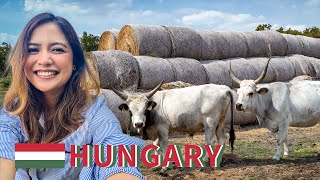 ALONE in rural Eastern Hungary - Would you live here?