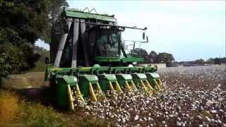 preview picture of video 'Harvesting Cotton'