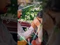 Innisai Paadi Varum Whatsapp Status Thullatha Manamum Thullum Whatsapp Status Innisai Padi Varum
