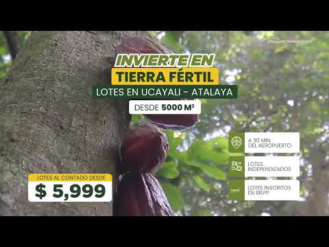 Lotes Independizados en Ucayali – Atalaya, desde 5,000 m²