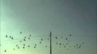 Kashmir - Aftermath - The Aftermath Disc 2