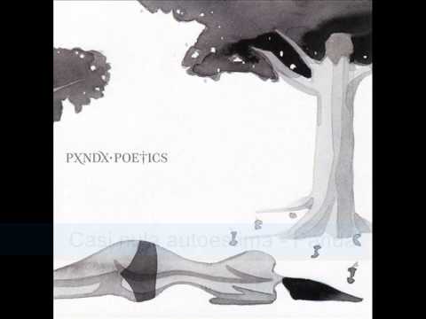 Panda - Poetics [COMPLETO]