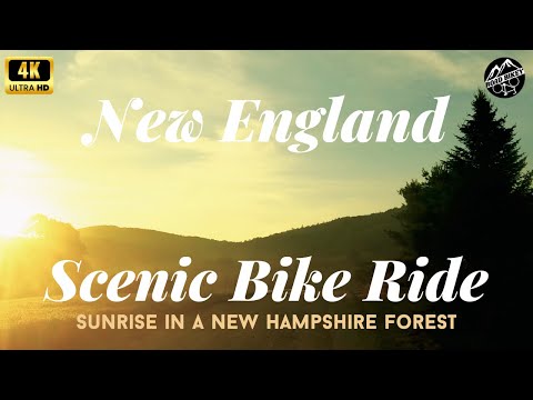 Sunrise White Mountains Forest Bike Ride - 4K Scenic Gravel Climb Through the Woods at Dawn