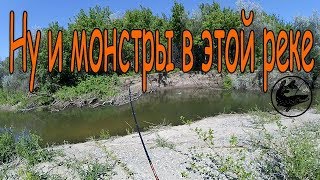 Ссылка